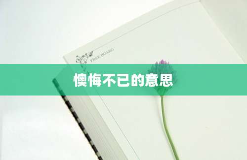 懊悔不已的意思