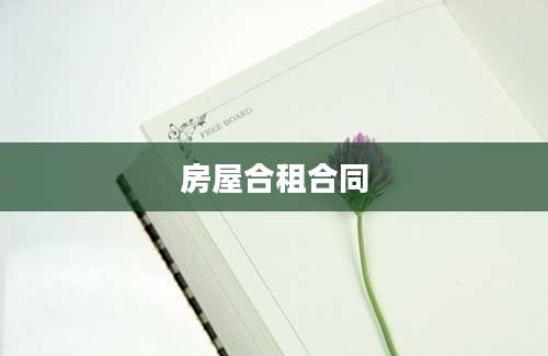 房屋合租合同