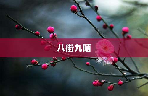 八街九陌
