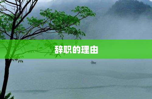 辞职的理由