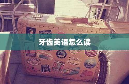 牙齿英语怎么读