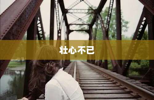 壮心不已