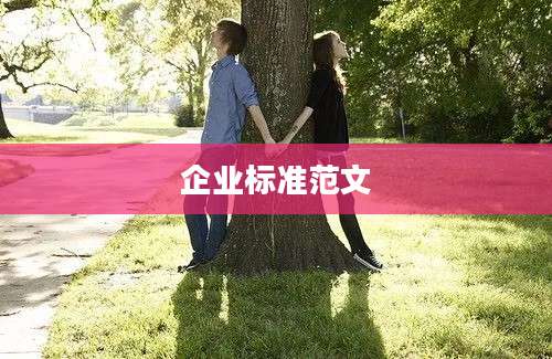 企业标准范文