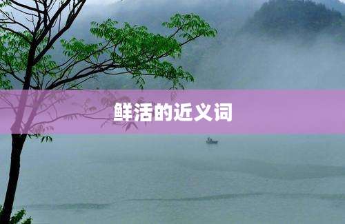 鲜活的近义词