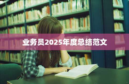 业务员2025年度总结范文