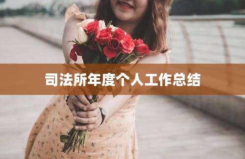 司法所年度个人工作总结