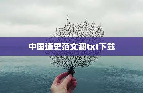 中国通史范文澜txt下载