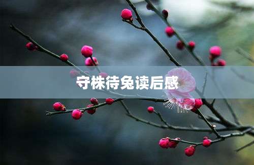 守株待兔读后感