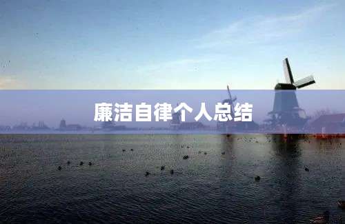 廉洁自律个人总结