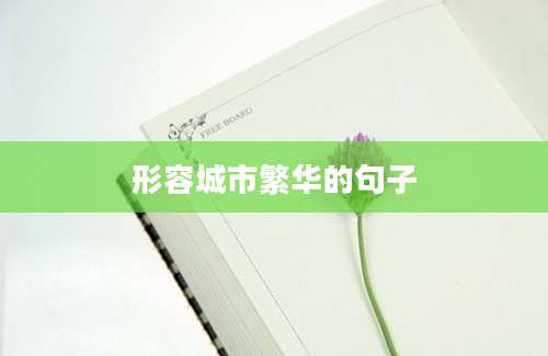 形容城市繁华的句子