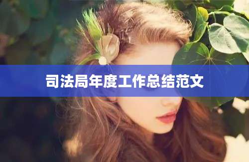 司法局年度工作总结范文
