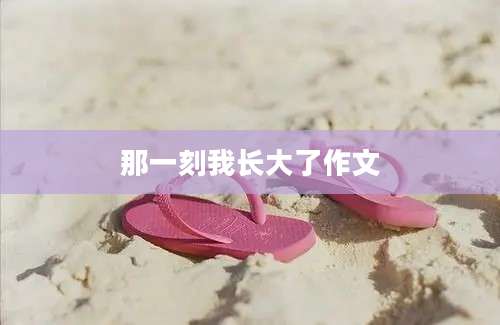 那一刻我长大了作文