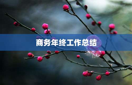 商务年终工作总结