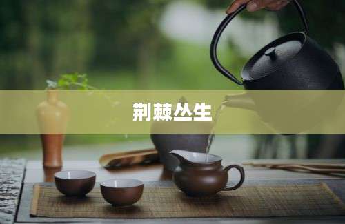 荆棘丛生