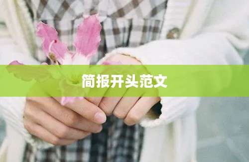 简报开头范文