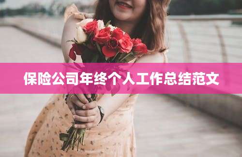 保险公司年终个人工作总结范文