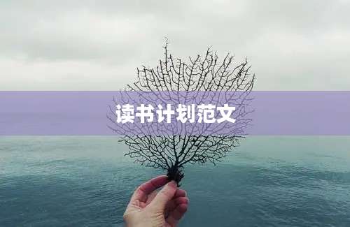 读书计划范文