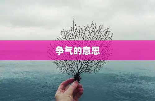 争气的意思