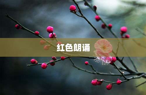 红色朗诵