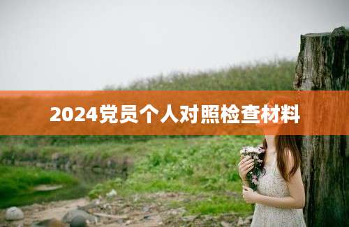 2024党员个人对照检查材料
