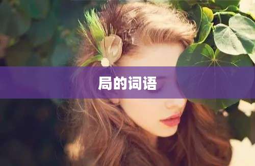 局的词语