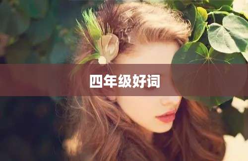四年级好词