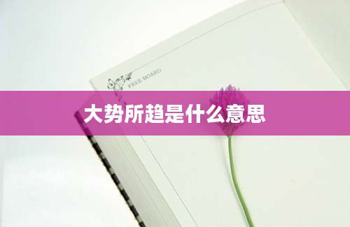大势所趋是什么意思
