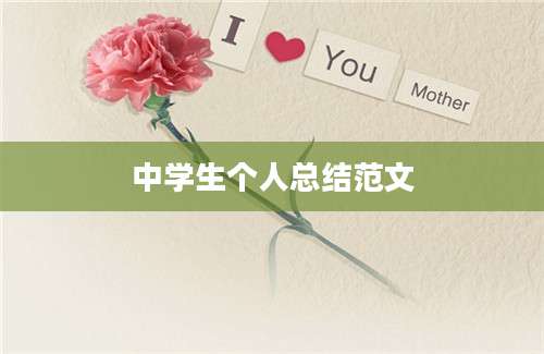 中学生个人总结范文