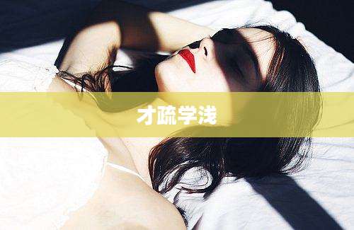 才疏学浅