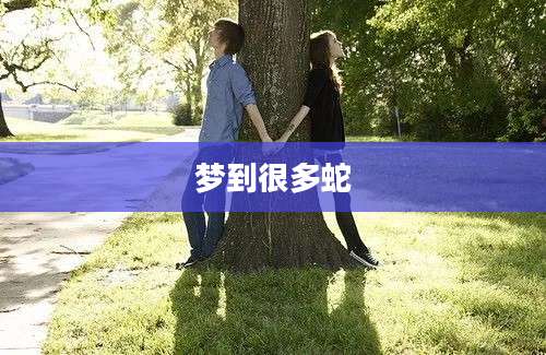 梦到很多蛇