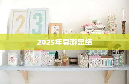 2025年导游总结