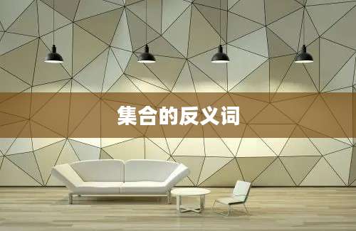 集合的反义词