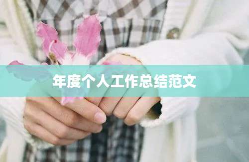 年度个人工作总结范文