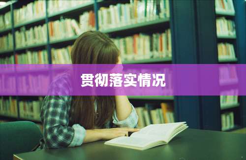 贯彻落实情况