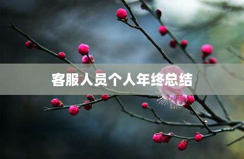 客服人员个人年终总结