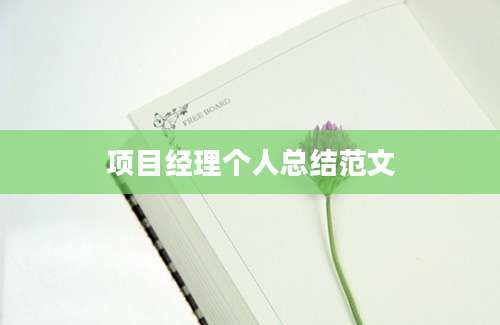 项目经理个人总结范文