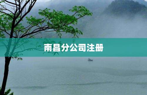 南昌分公司注册