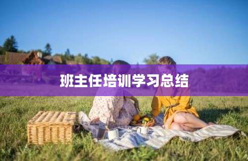 班主任培训学习总结
