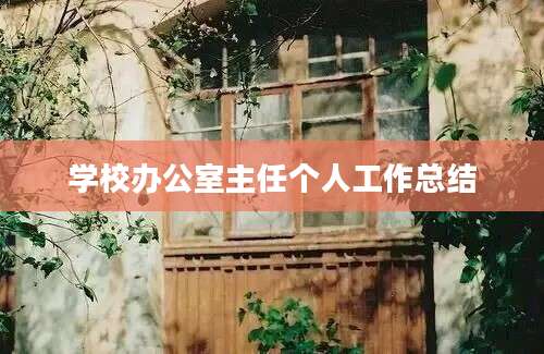 学校办公室主任个人工作总结