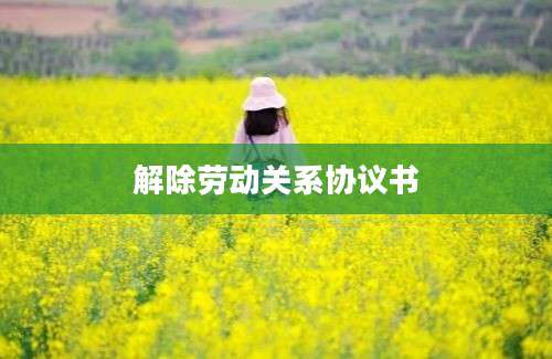 解除劳动关系协议书