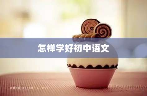 怎样学好初中语文
