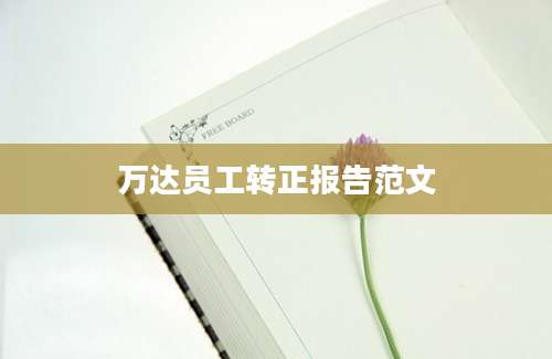 万达员工转正报告范文