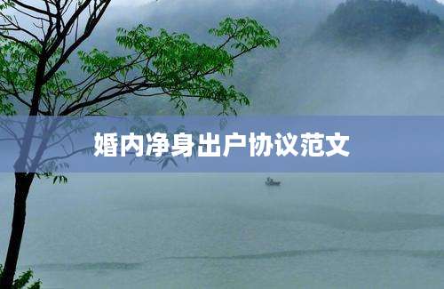 婚内净身出户协议范文