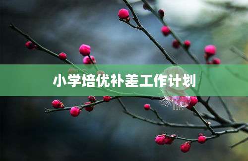 小学培优补差工作计划