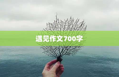遇见作文700字