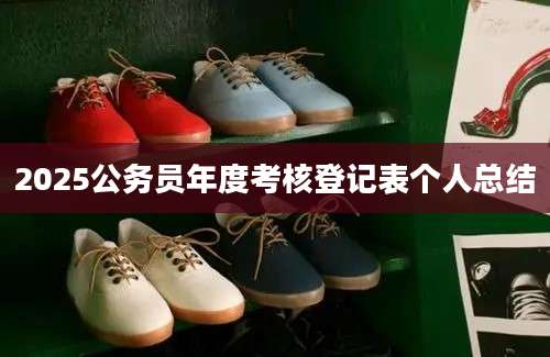 2025公务员年度考核登记表个人总结