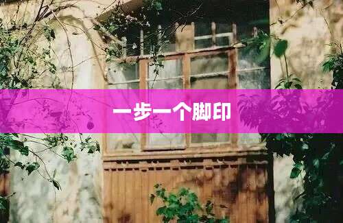 一步一个脚印