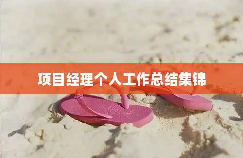 项目经理个人工作总结集锦