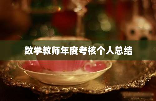 数学教师年度考核个人总结