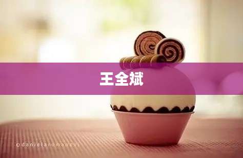 王全斌